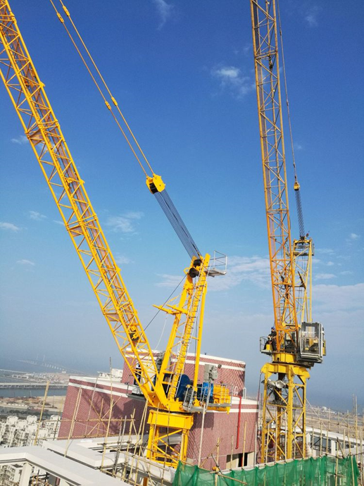 1512371790.png 圖片.png