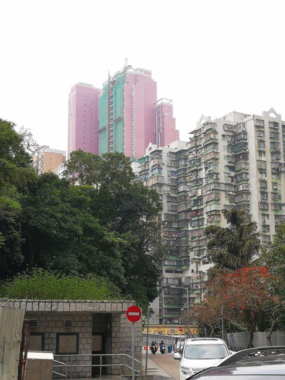 1512372207.png 圖片.png